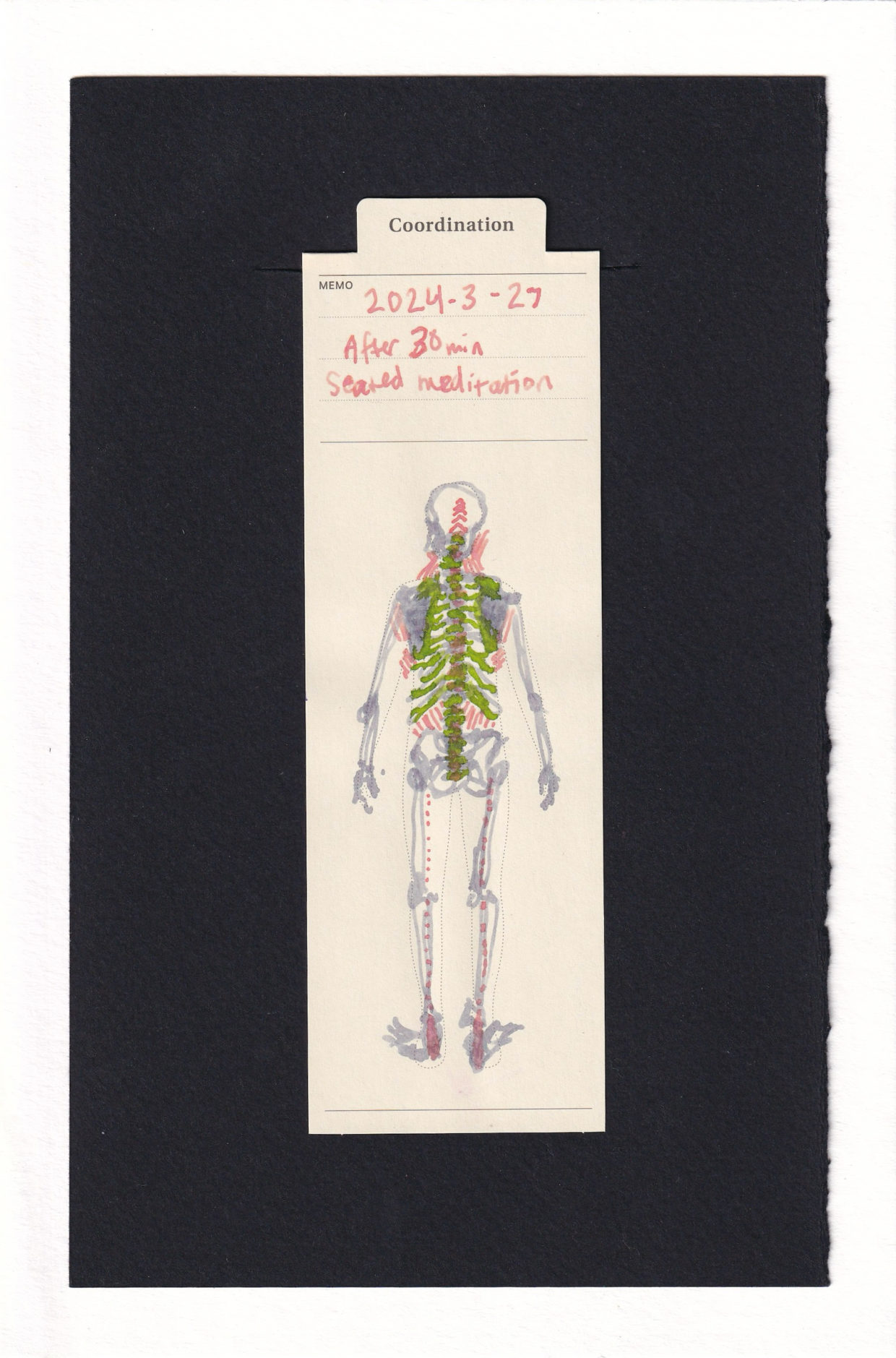 The rear view of a skeleton, drawn on to the printed outline of a human figure of a bookmark. Their spine, ribs, and shoulder blades are wrapped in bright lime green, and thinner lines of light bright orange fill the areas between the bones, almost like radiating earthquake lines. Down the back of the legs, the same light and bright orange dots hamstring-like soreness. The quake lines also extend angularly up into the back of the skull.